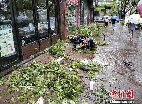 “利奇马”登陆地浙江温岭：55万人受灾 93间民房倒塌(受灾抢修民房万人倒塌) 汽修知识