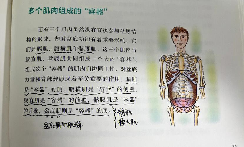 喉位不稳定怎么办？(横膈膜呼气吸气肌肉漏气) 汽修知识
