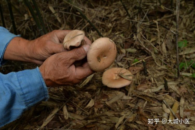 11人奋力救出祖孙三人：有戴着头盔像外卖员的大叔，有匆忙赶到的警察，也有纯粹经过的路人(也有救人祖孙路人救出) 汽修知识