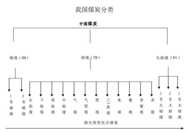 煤炭类包括哪些专业 育学科普