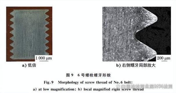 分享：低压加热器疏水泵导流壳连接螺栓断裂失效分析(疏水螺栓断裂加热器失效) 汽修知识