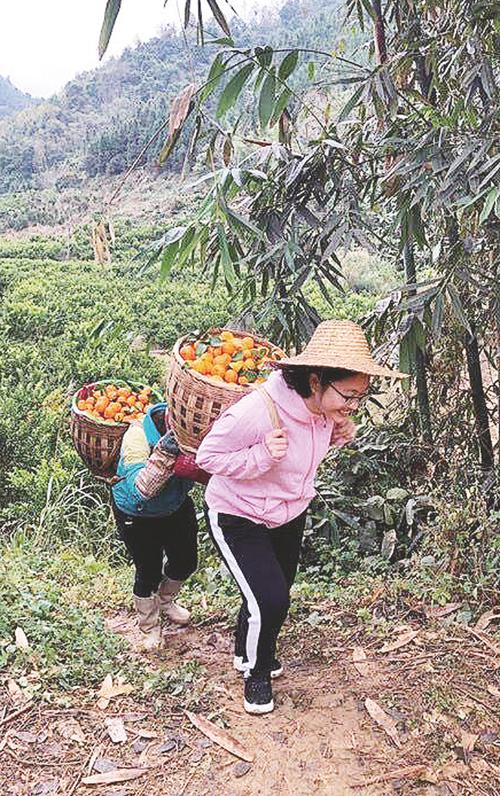 青春之光(文秀村民脱贫砂糖村民们) 汽修知识