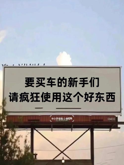 车机变「板砖」，买车必须承受这个风险？(新势力倒闭买车头部昔日) 汽修知识