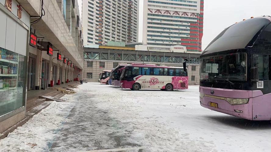 受低温雨雪影响 郑州各汽车站大部分线路停班(线路上蔡汽车站雨雪低温) 汽修知识