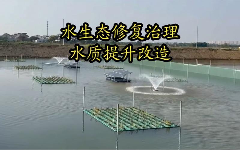 长春市着力推进水环境质量改善提升(重点流域水源地水质水体) 汽修知识