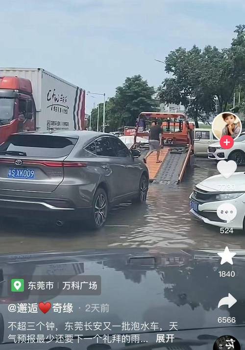 新能源车库遭重创，车主损失惨重**(新能源暴雨车库车主车辆) 汽修知识