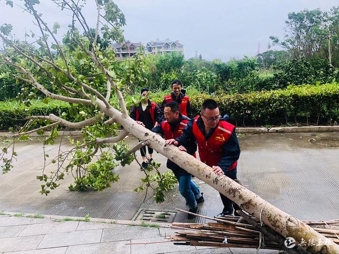 滚动︱玉环动员全市人民不等不靠开展灾后自救(玉环全市自救不靠恢复) 汽修知识