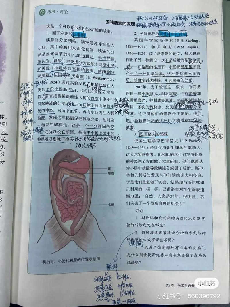 高中选修可以不学吗 学类资讯