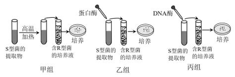 河南原阳：“汽配谷”在黄河北岸顺风起势(汽车原阳汽车零部件管路产品) 汽修知识