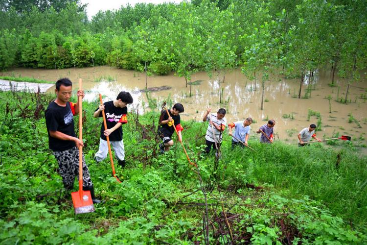 聚焦防汛抗旱丨织密“监测网” 共下“一盘棋”——全国多地防汛一线探访(防汛预警新华网抢险排查) 汽修知识