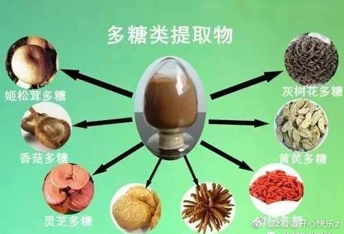 植物来源的多糖指什么 学类资讯