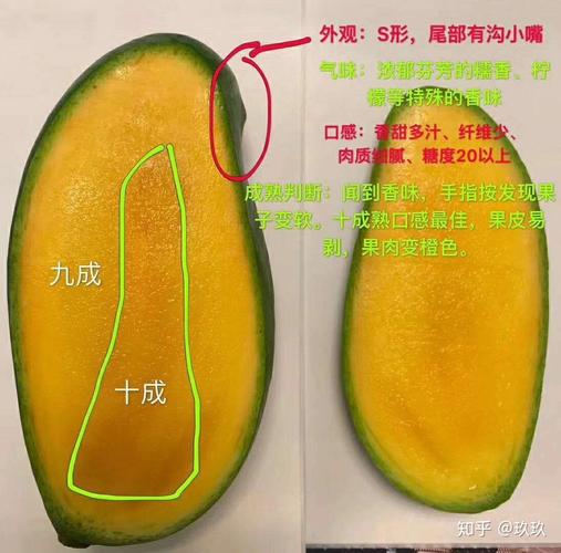 怎样分辨是不是绿化芒 学类资讯