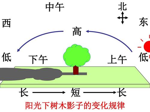 影子的方向与太阳的方向有什么关系 学类资讯