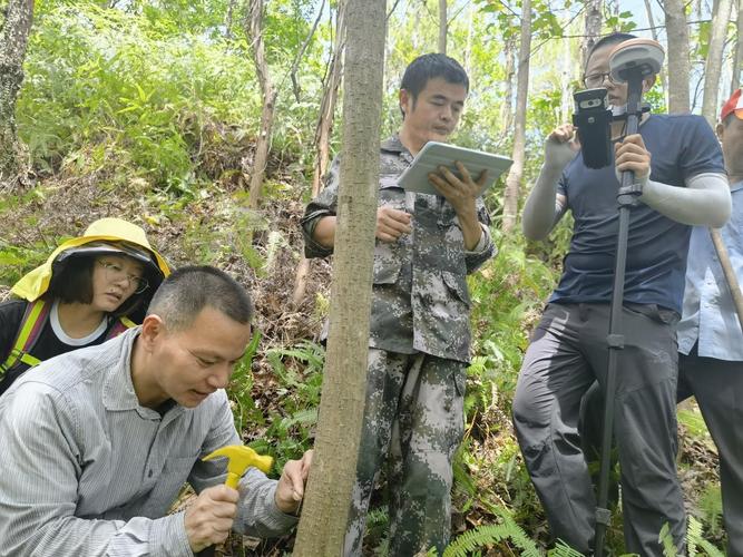 广东林勘人：战高温斗毒蛇 翻山越岭摸清林业“家底”(林业监测调查毒蛇技术人员) 汽修知识