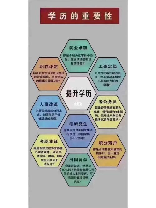 中央电大的本科属于一本吗 学类资讯