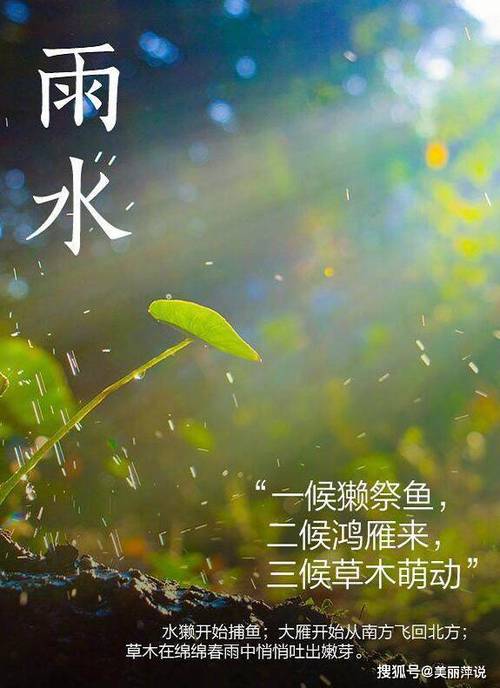 雨水是什么季节 学类资讯