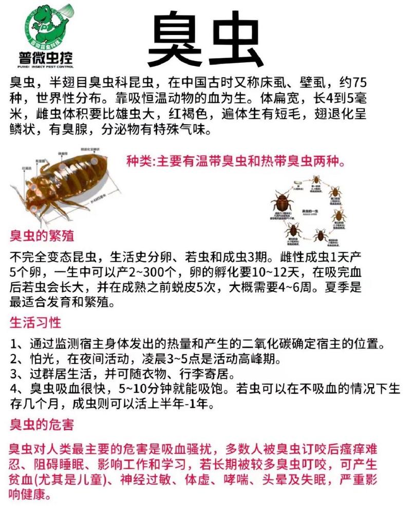 臭虫怎么消灭 学类资讯