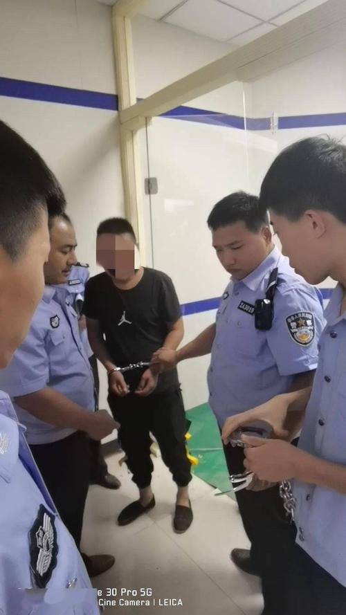 挺好  专偷轿车零件，歪了(小轿车李某嫌疑人江岸民警) 汽修知识