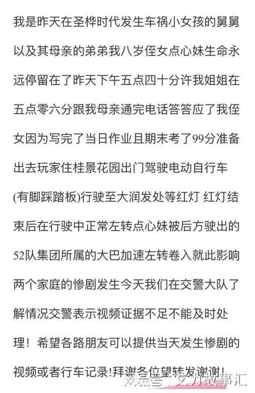 女儿脑组织被碾出，怎么又是没有戴头盔(电动车头盔又是车祸母女) 汽修知识