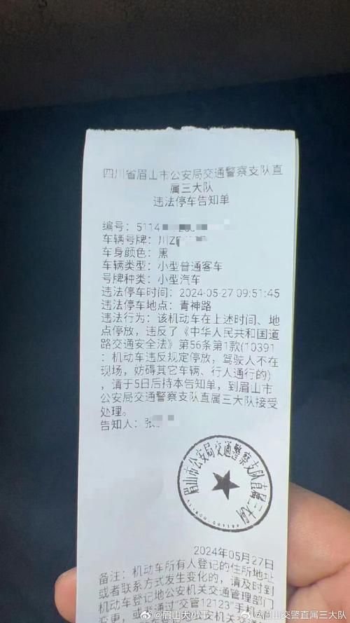 眉山城区部分路段试行违停电话“一声吼”  10分钟内驶离不处罚(交警路段封面试行开走) 汽修知识