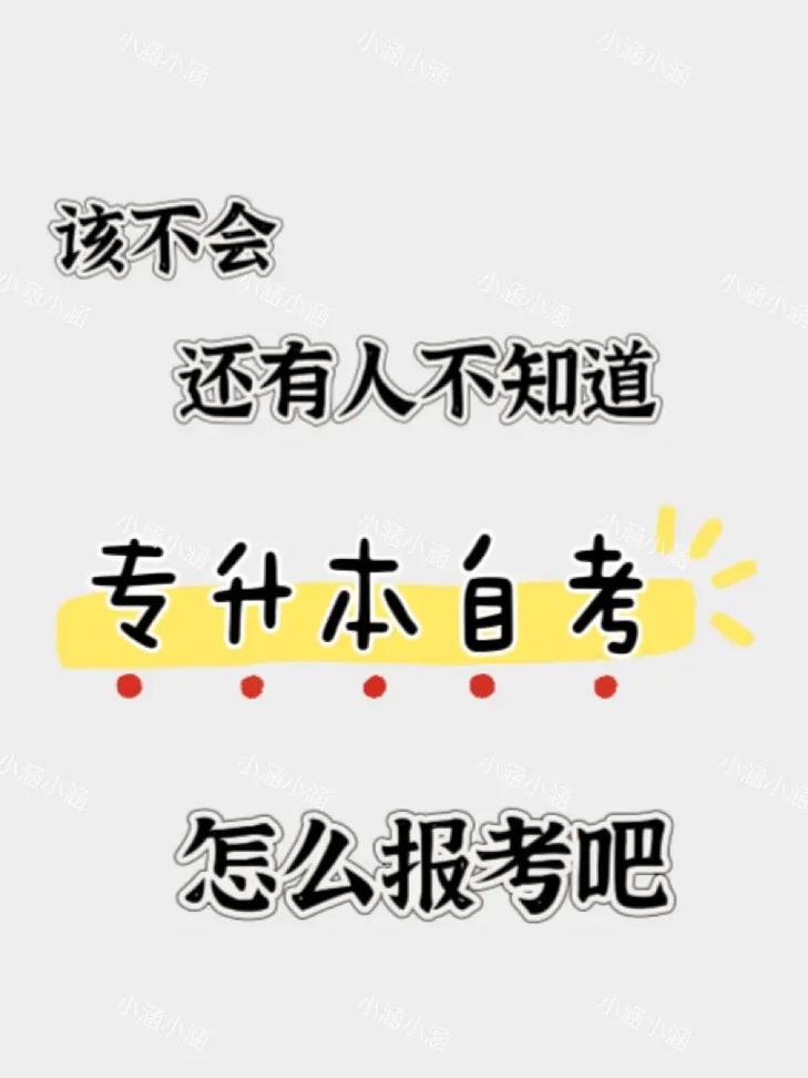 报了自考本科还能报专升本吗 学类资讯