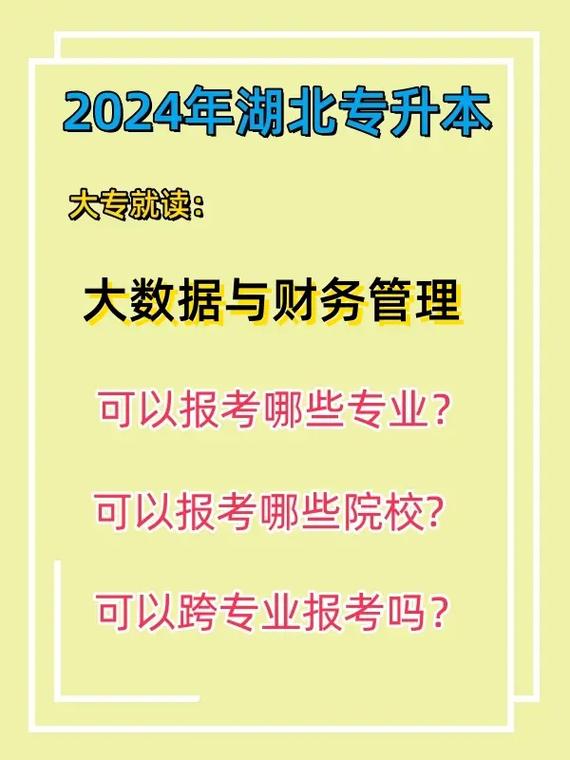 2024年大数据与财务管理专业学什么 学类资讯