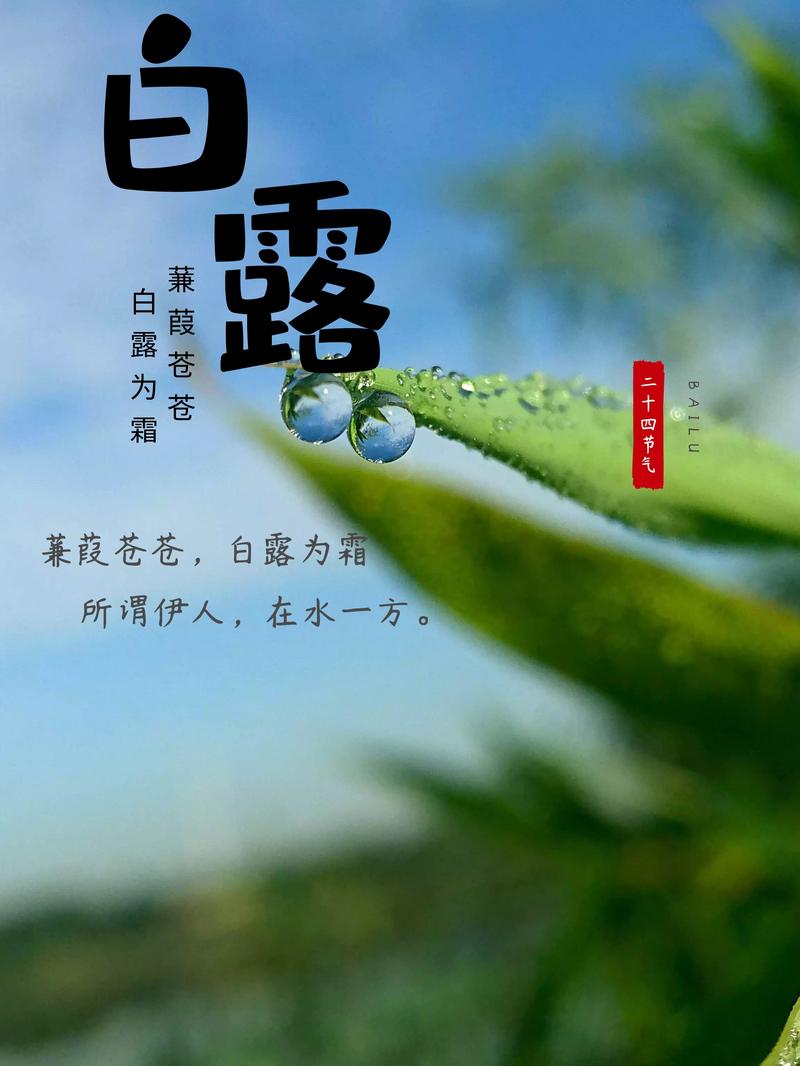 白露是什么季节的节气 学类资讯