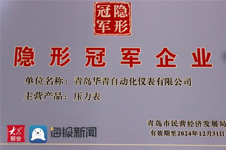 全国只此一家民企!鹤壁这家企业是安全气囊界的“隐形冠军”(尼龙安全气囊这家民企企业) 汽修知识 全国只此一家民企!鹤壁这家企业是安全气囊界的“隐形冠军”(尼龙安全气囊这家民企企业) 汽修知识