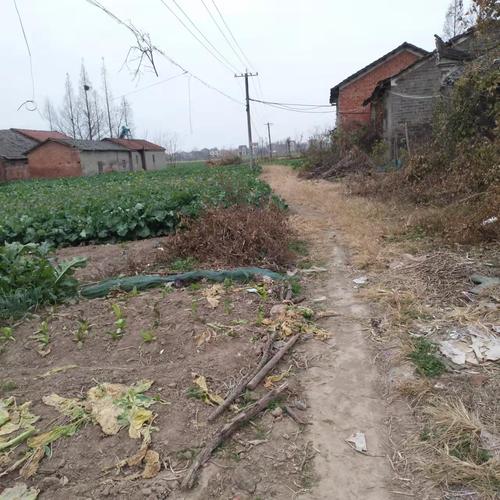 荆州道路快速修理料应用领域？(道路修理应用领域维护停机坪) 汽修知识