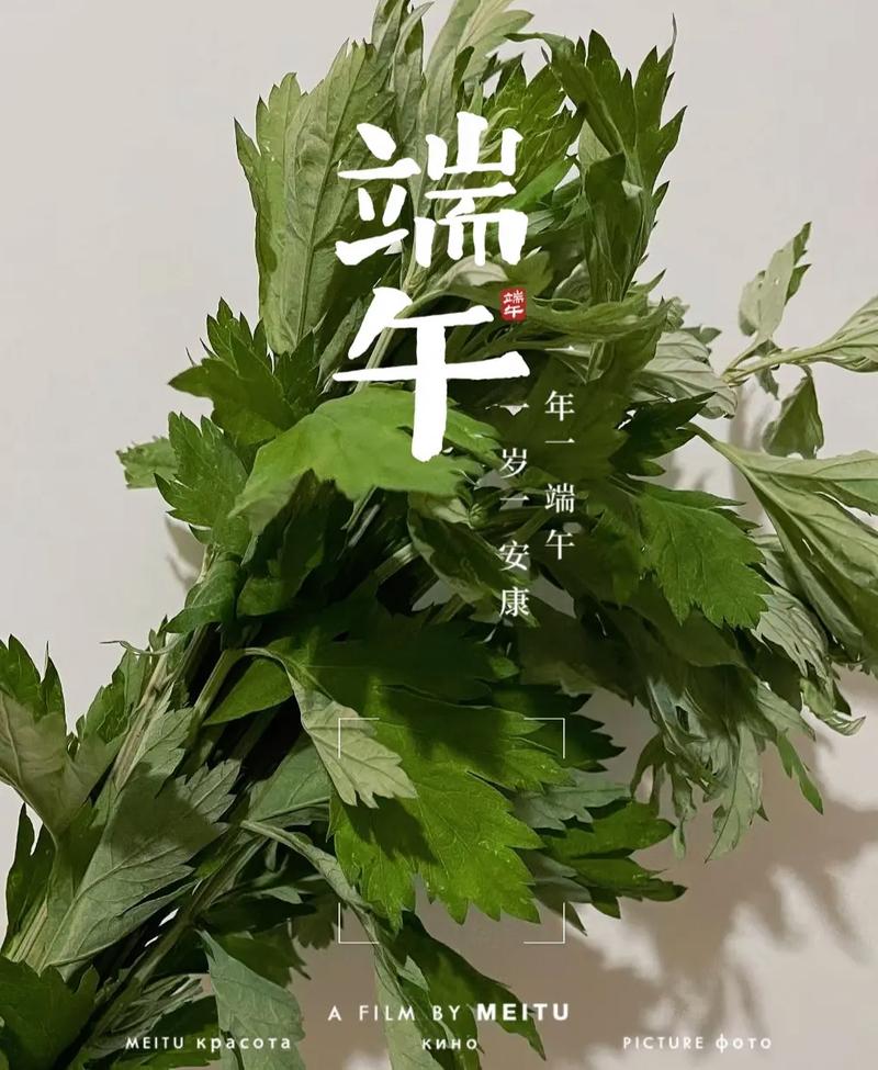 端午采艾草的意义 学类资讯