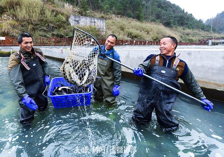 揭开山东温水镇乡村振兴之路的奥秘(温水鲟鱼乡村振兴乡土) 汽修知识