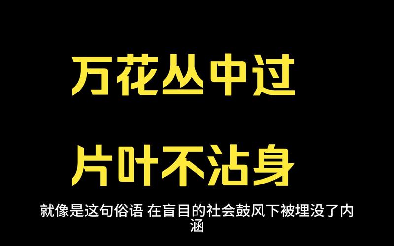 万花丛中过,片叶不沾身的意思 学类资讯