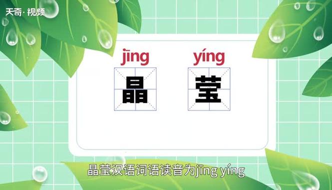 晶莹的近义词有哪些 学类资讯