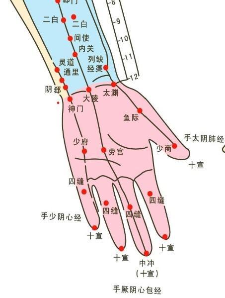 手腕三指处是什么学位 学类资讯