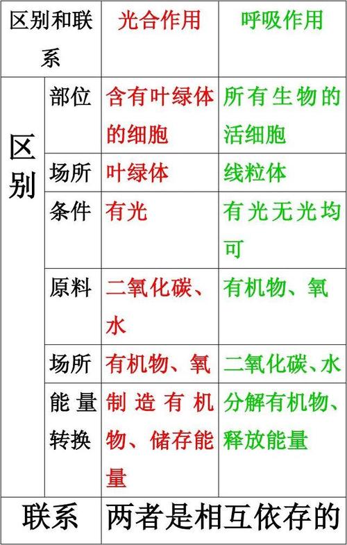 光合作用呼吸作用场所分别在哪 学类资讯