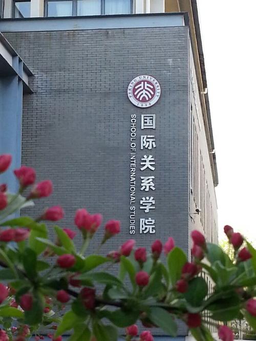 北大有国际关系学院吗 学类资讯