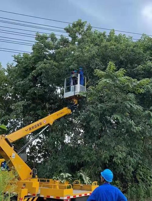 石鼓区：清除电路安全隐患赢民赞(石鼓清除社区树枝电路) 汽修知识