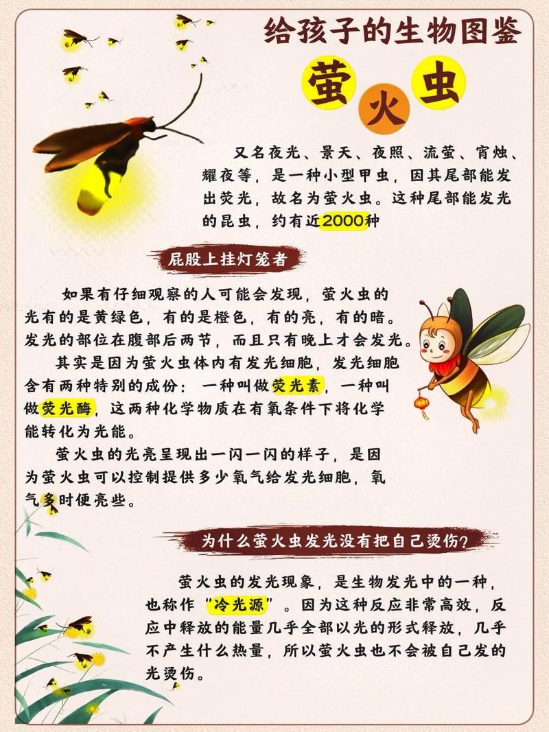 萤火虫是益虫还是害虫 学类资讯