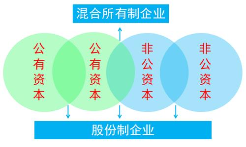 混合所有制经济通常采用的是什么形式 学类资讯