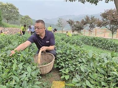 安徽凤台：“田秀才”的桑梓情(乡村脱贫合作社育秧托管) 汽修知识