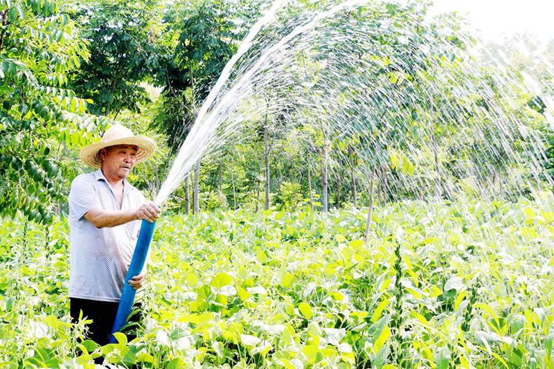 9张图皖北农村大叔每日汗流浃背辛苦修农机 最后一张图看了很温馨很幸福让人羡慕(大叔看了让人农机农村) 汽修知识