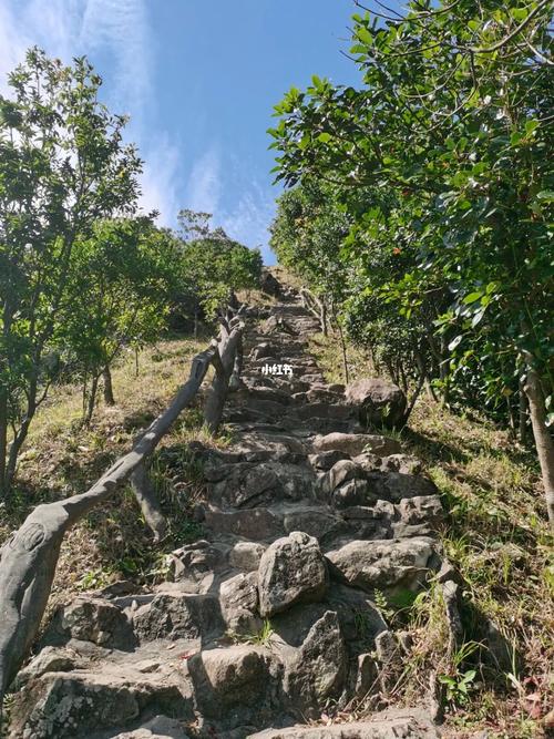 什么是园山？｜梧桐山北筑未来①(未来文化盐田梧桐山街道) 汽修知识