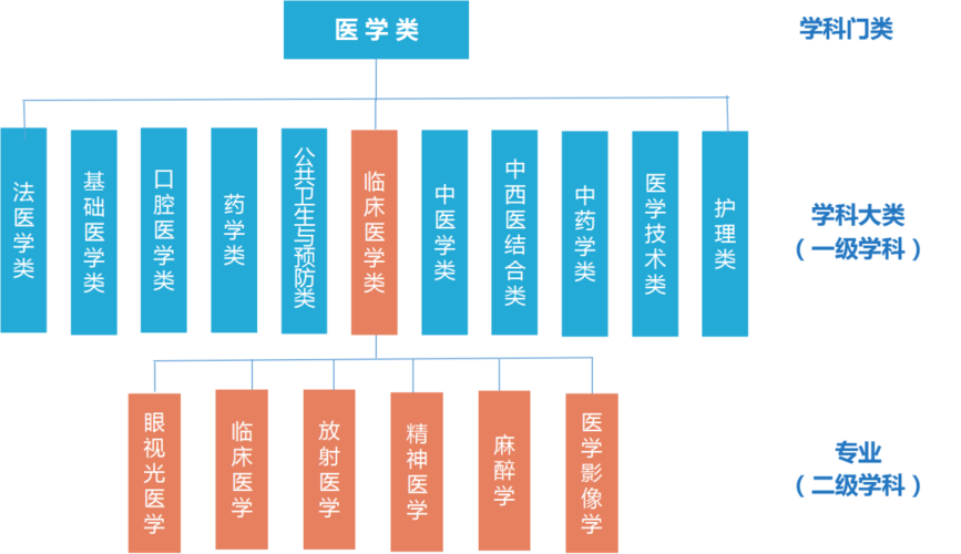 医学门类包括哪些专业 学类资讯