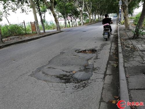 泗泾镇青凯路、泗宝路和泗通路陆续亮灯｜夏令热线回头看(路灯通路宝路夏令回头看) 汽修知识