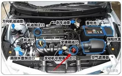 这些位置要重点检查(冷却液检查泄漏暖风机油) 汽修知识