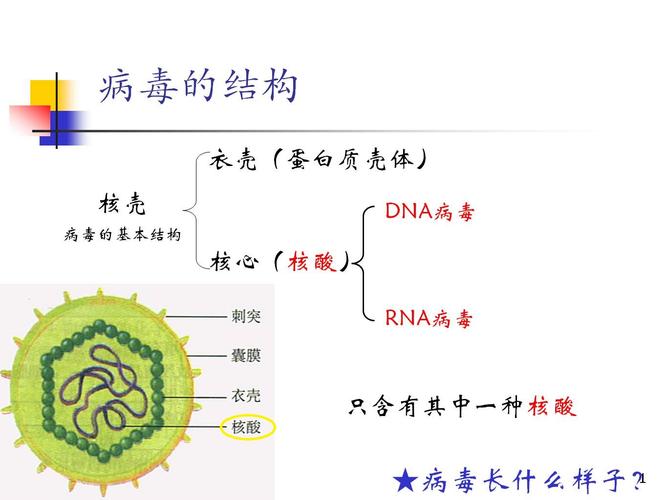 除病毒外组成生物体的基本单位是什么 学类资讯