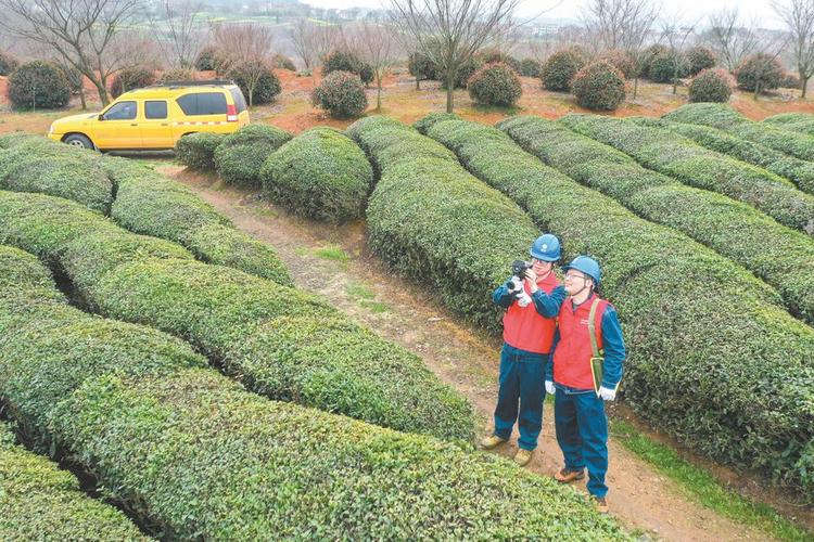 象山县12月12日至13日局地停电信息(停电自然村行政村支线计划) 汽修知识