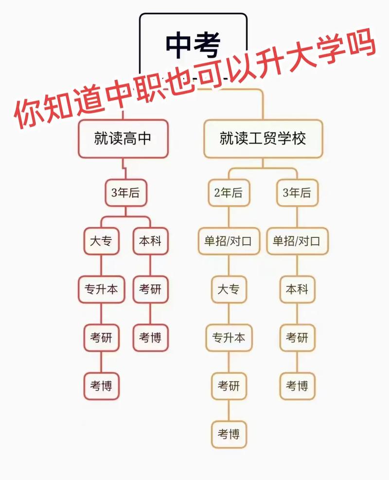 中考志愿没填好落榜了怎么办 学类资讯