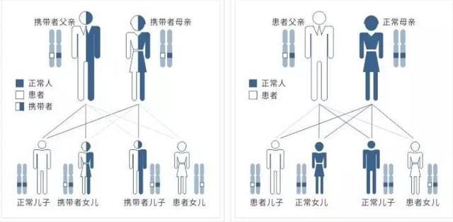 隔代遗传什么意思 学类资讯