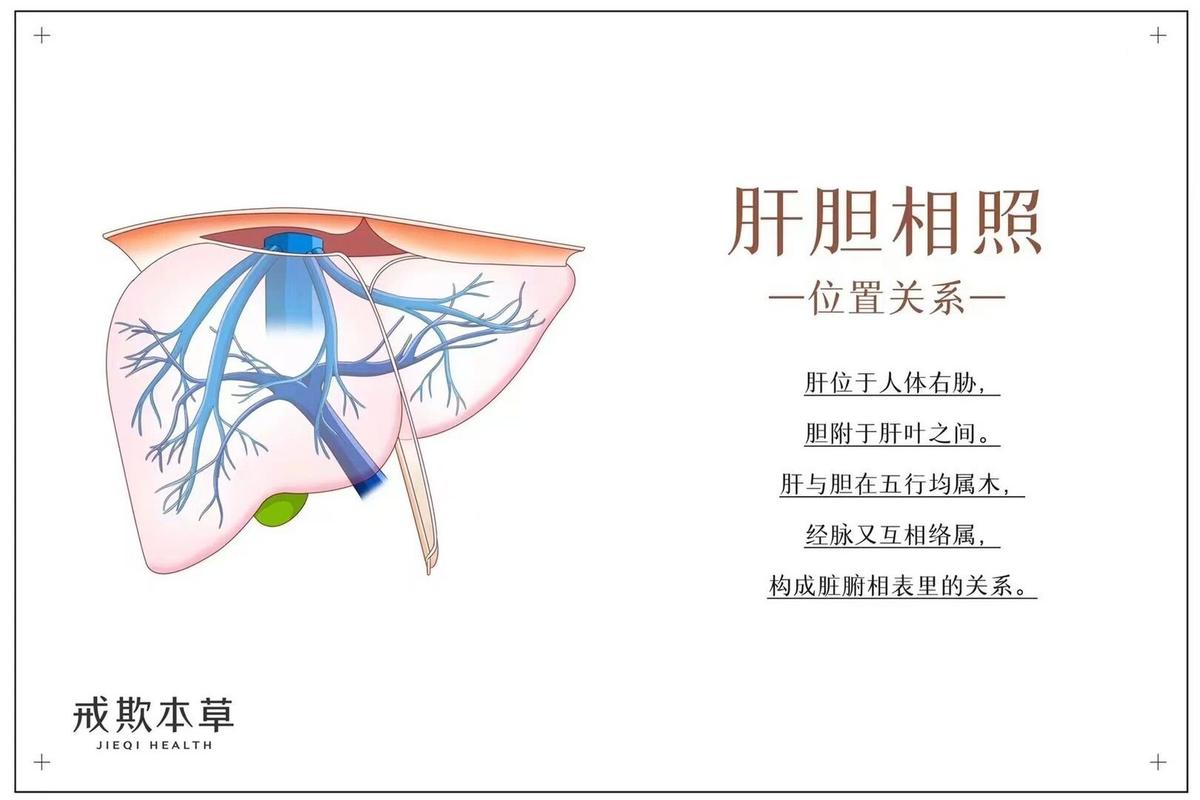 肝胆相照是什么意思 学类资讯